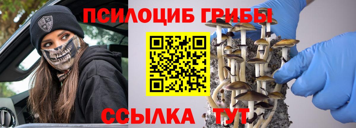 Белебей  Галлюциногенные грибы мухоморы  Вход с VPN 